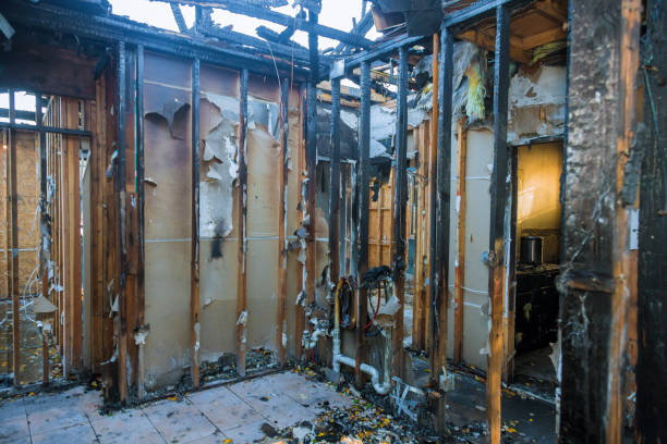 Professional Structural Rebuild technician working in Franklin Park, FL