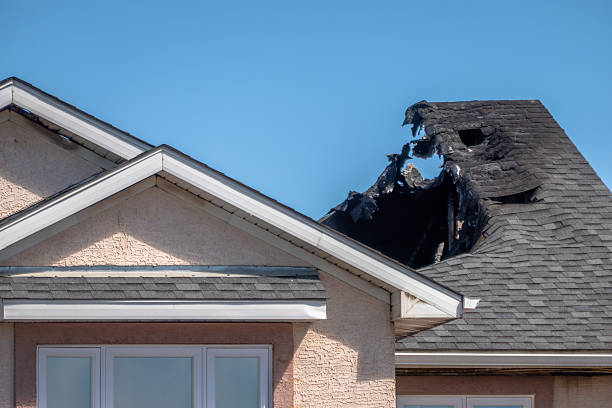 Top rated local Structural Rebuild specialists in Franklin Park, FL